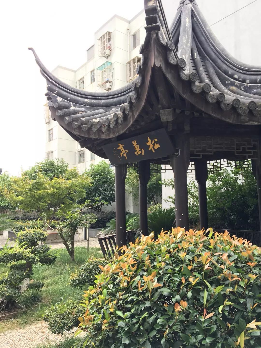 微信图片_20181224095136.jpg