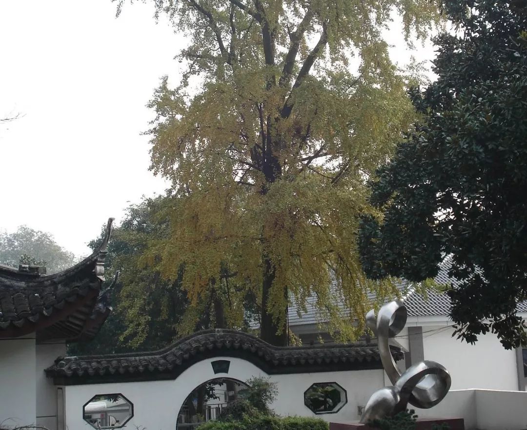 微信图片_20190108162131.jpg